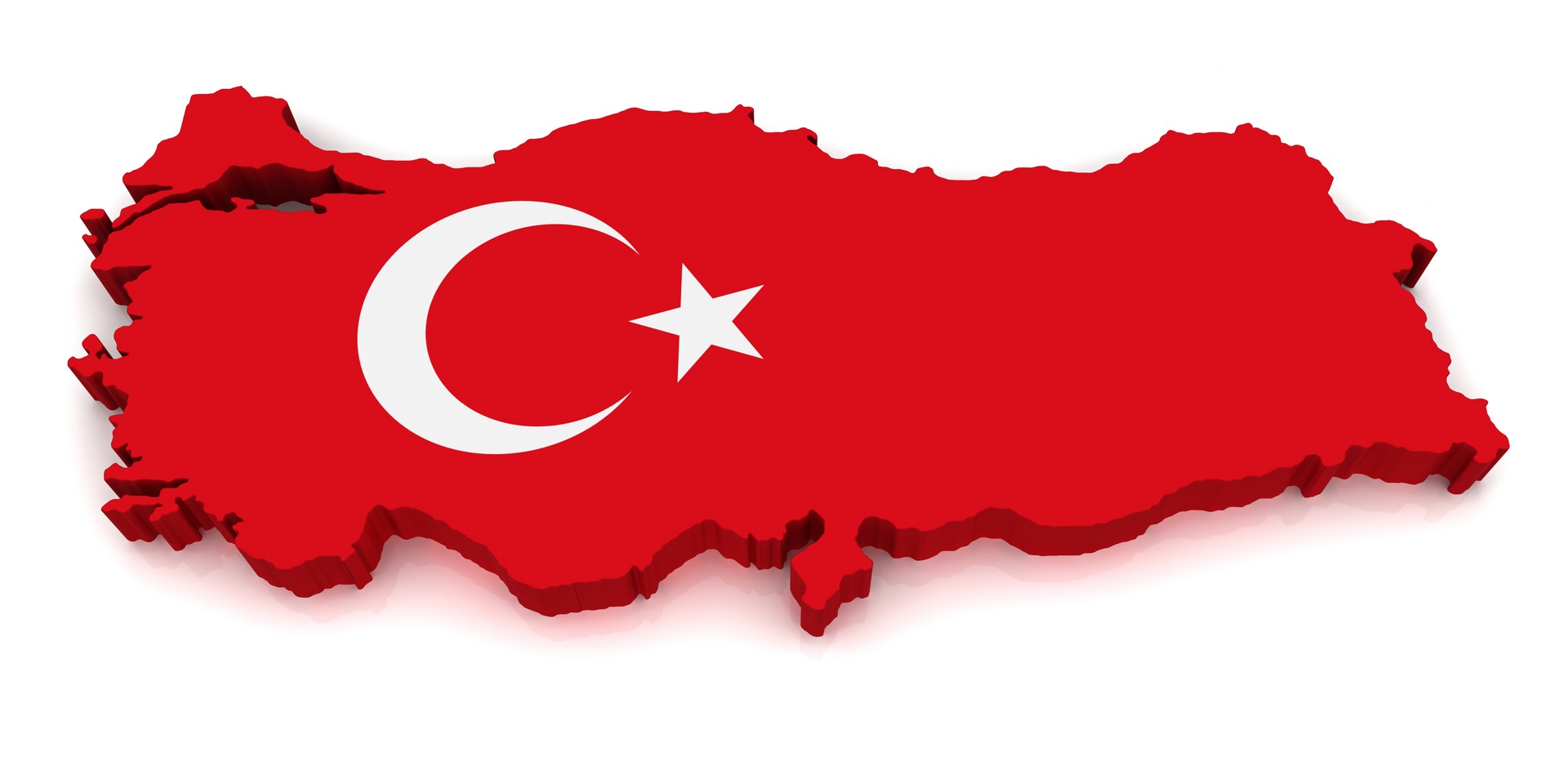 Türkiye temsilinin alınması